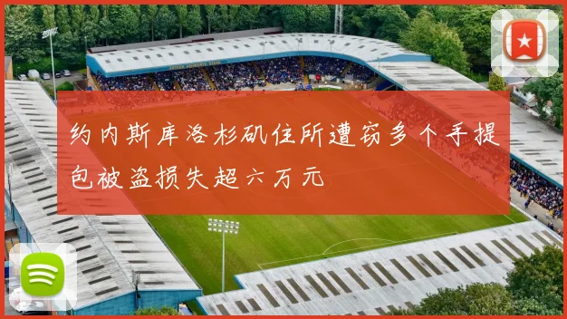 约内斯库洛杉矶住所遭窃多个手提包被盗损失超六万元